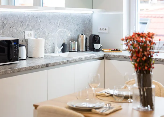 Lyra New Boutique Building Apartment With Parking & Terrace Apartament Bucureşti